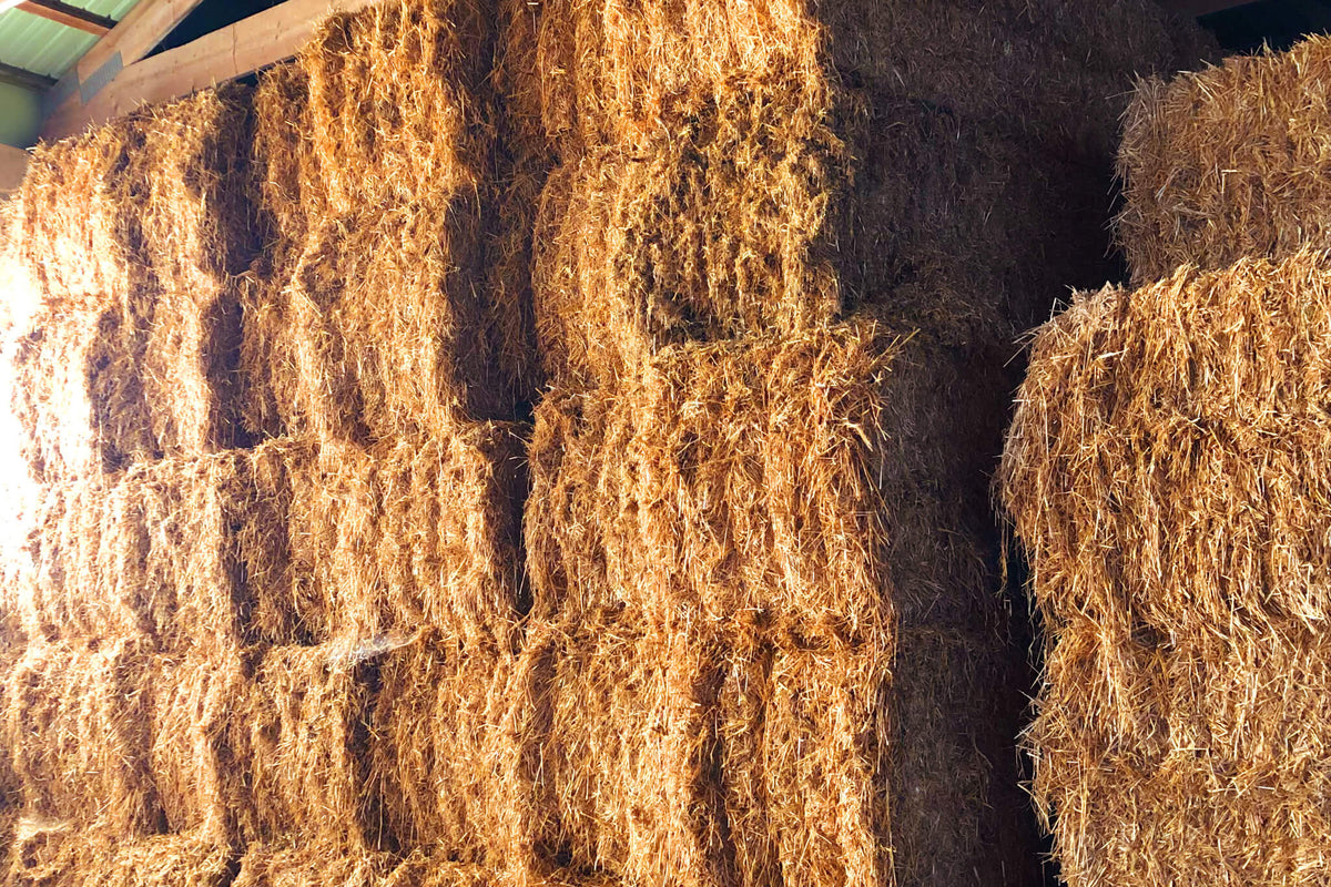 Organic Straw Bales Osprey Organics